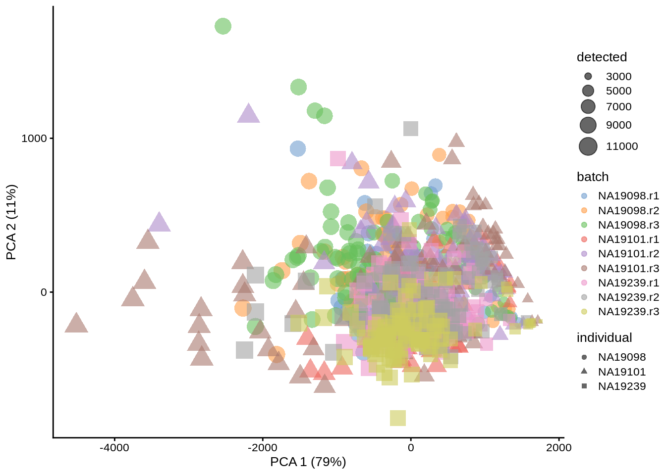 PCA plot of the Tung data (raw counts)
