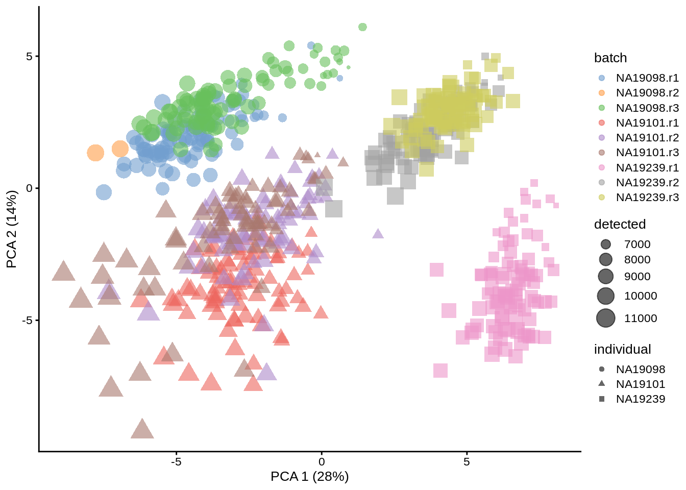 PCA plot of the tung data (50 genes)