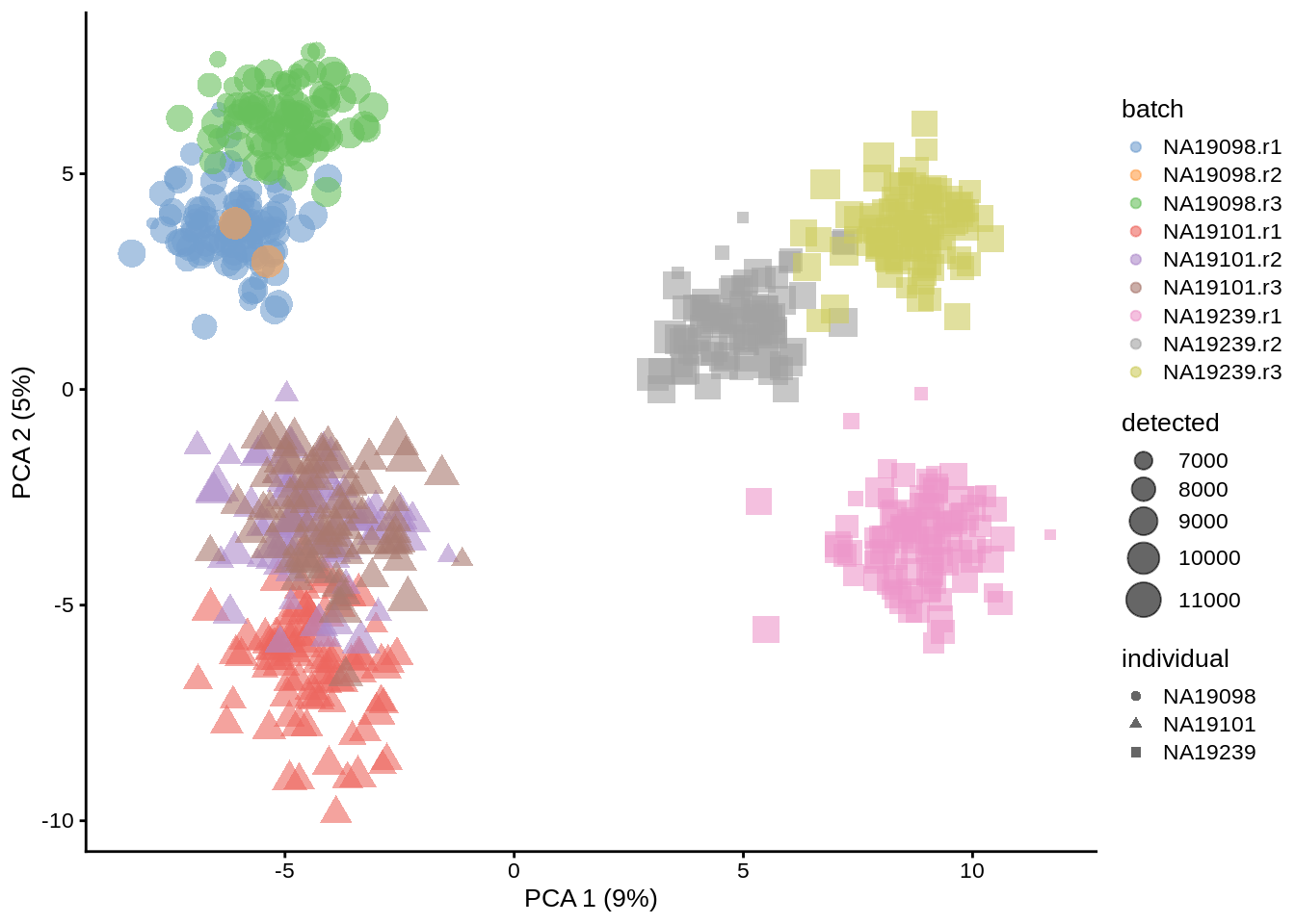 PCA plot of the tung data after deconvolution-based (scran) normalisation