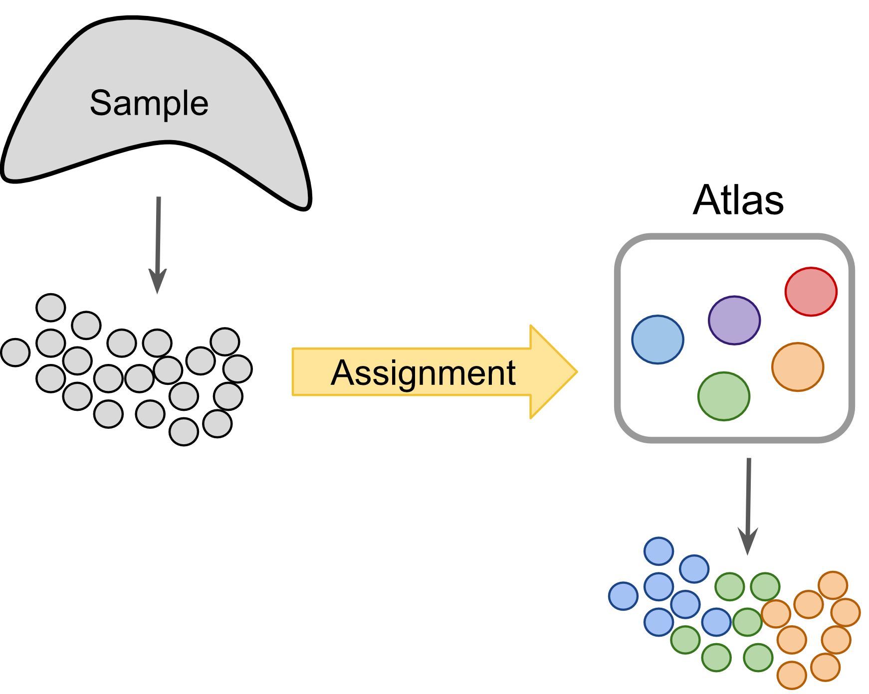 Label-centric dataset comparison can project cells from a new experiment onto an annotated reference.