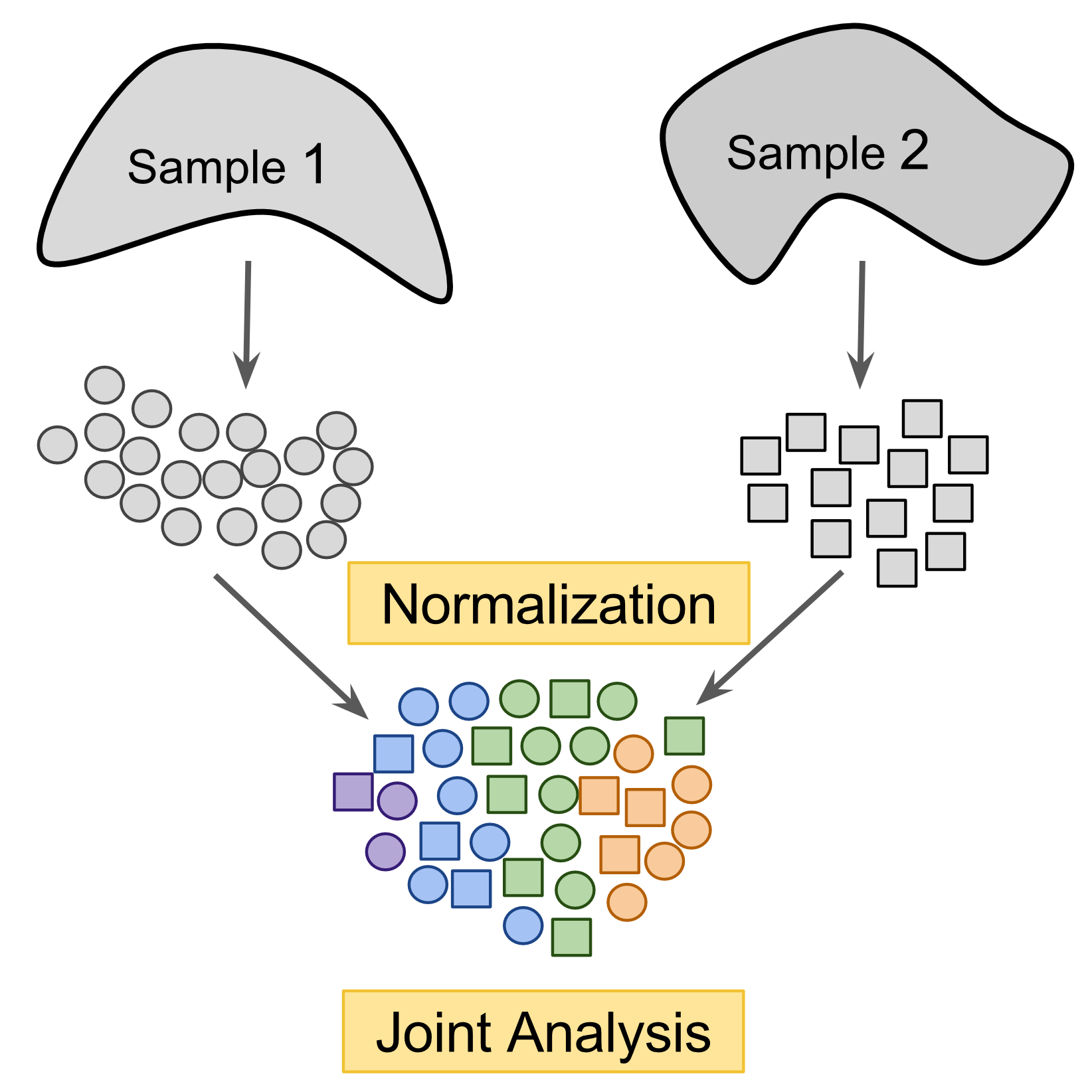 Cross-dataset normalization enables joint-analysis of 2+ scRNASeq datasets.