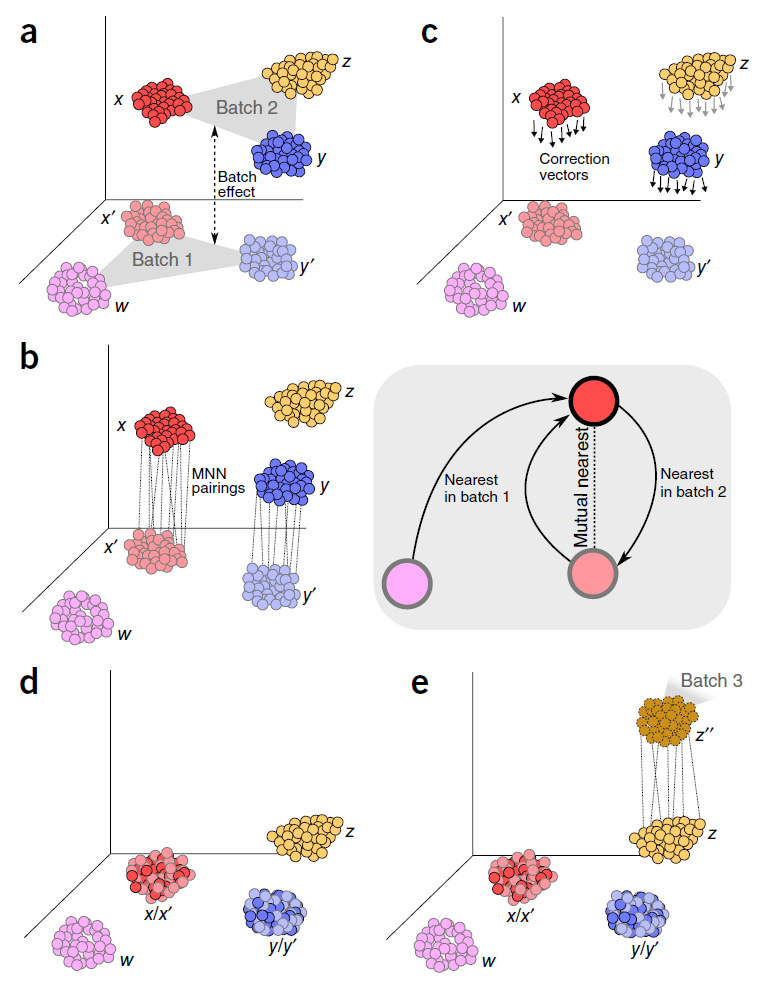 Scheme of a mutual nearest neighbor (MNN) integration approach