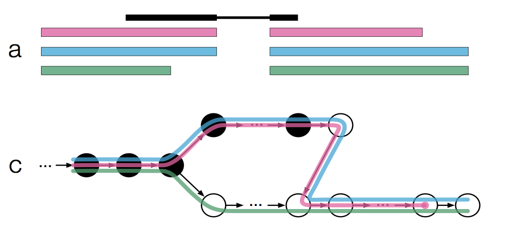Pseudoalignment to transcriptome De Bruijn graph